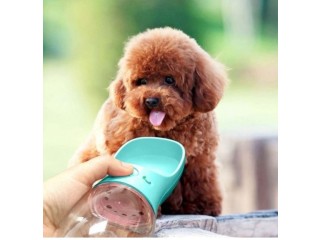 Water Bottle For Your Pet