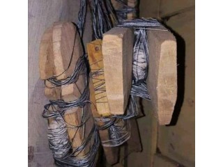 The best powerful spiritual herbalist man in Africa