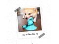 buy-tug-of-floor-dog-toy-small-0