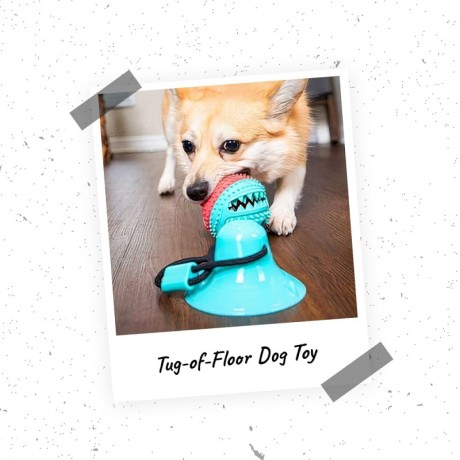 buy-tug-of-floor-dog-toy-big-0